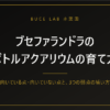 ブセファランドラのボトルアクアリウムの育て方